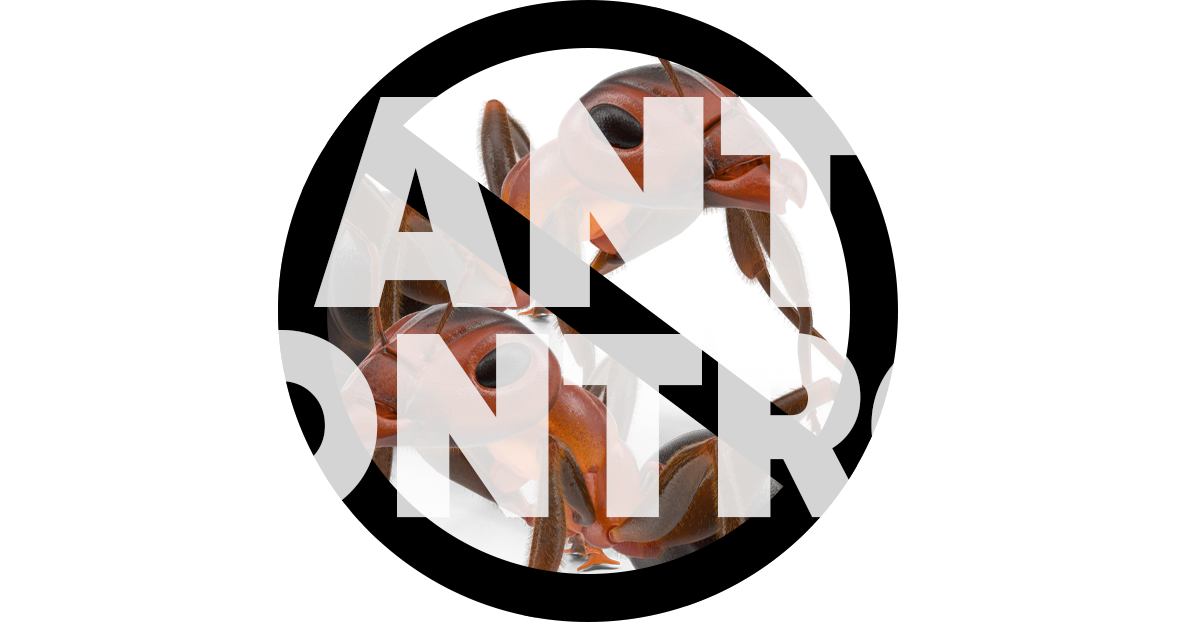 Ant Control Badge