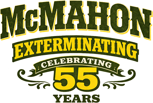 Pest Control | McMahon Exterminating