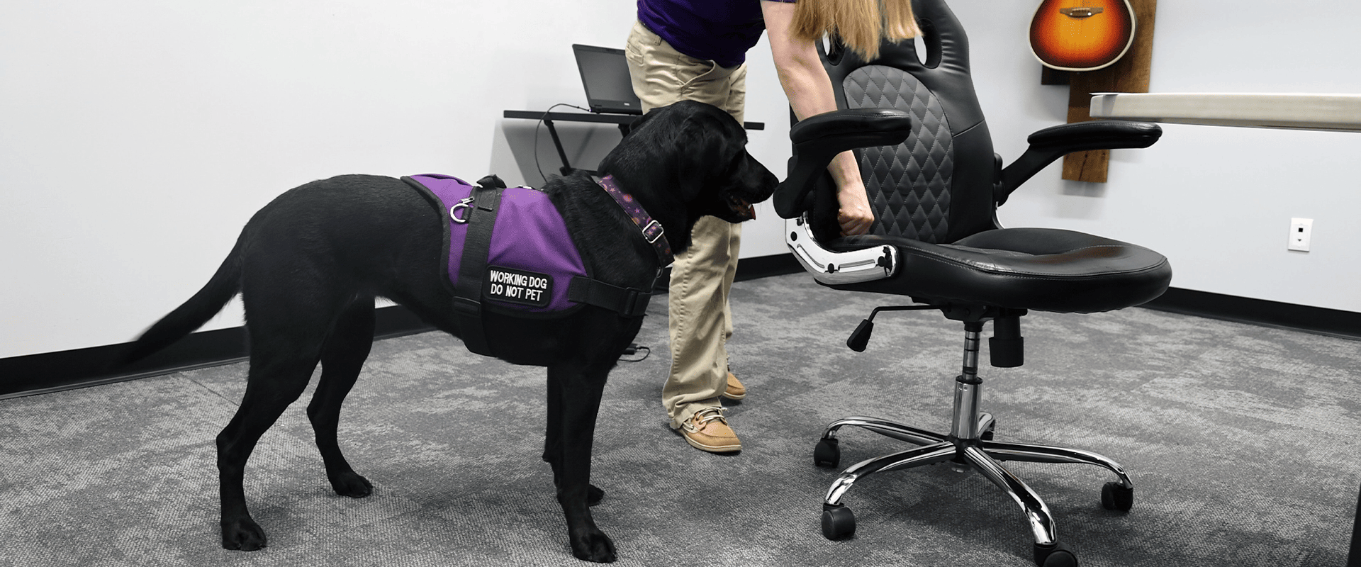 Handler with Working Dog