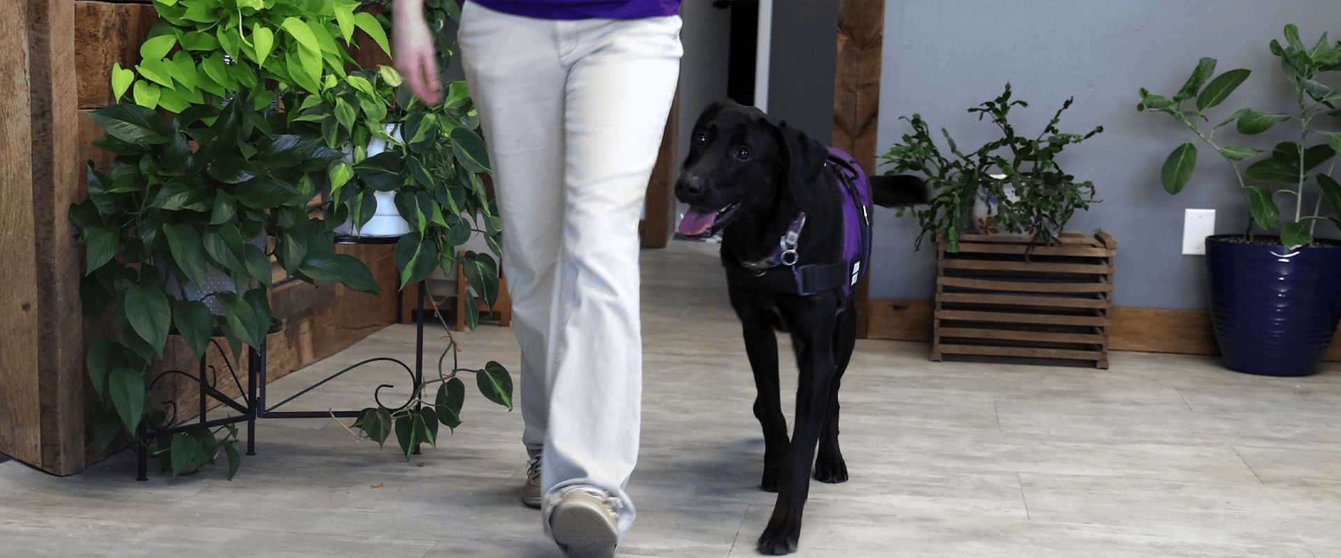 Handler with Working Dog