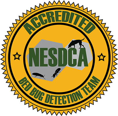NESDCA Logo