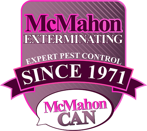 Pest Control | McMahon Exterminating