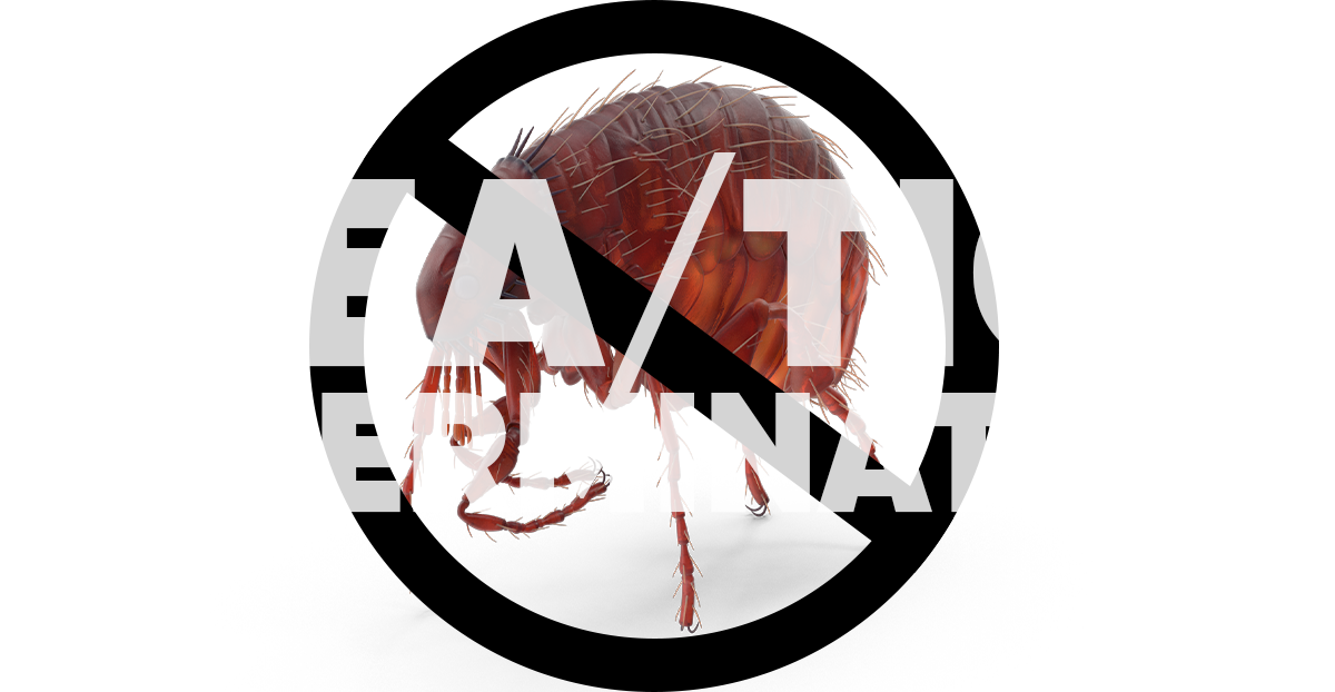 Flea/Tick Extermination Badge