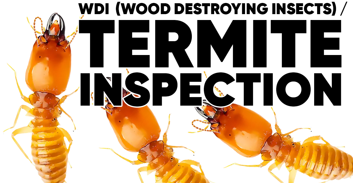 Termite Inspection Badge