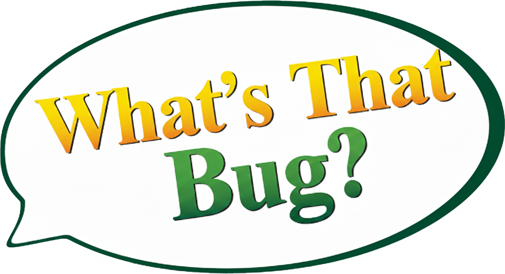 What's That Bug Logo